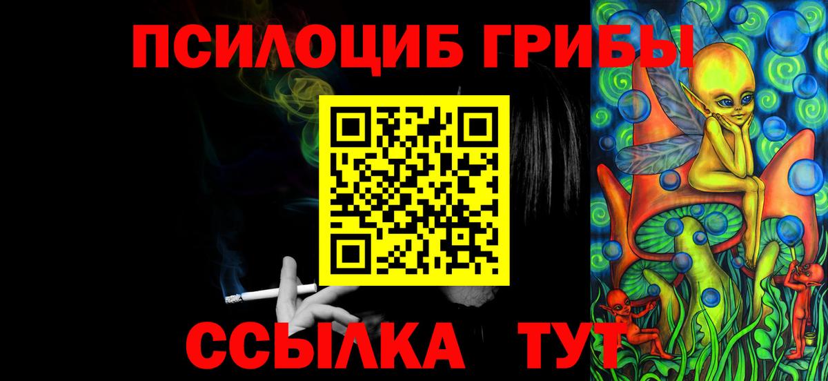 Галлюциногенные грибы Psilocybine cubensis Ноябрьск