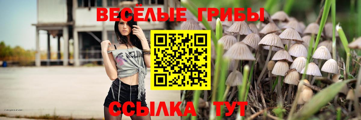 Псилоцибиновые грибы GOLDEN TEACHER  Галлюциногенные грибы Magic Shrooms  Ноябрьск  Вход с VPN 